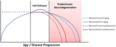 Neuromelanin-sensitive MRI correlates of cognitive and motor function in Parkinson's disease with freezing of gait